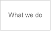 What we do