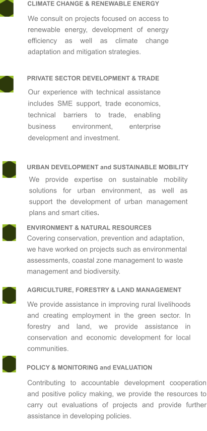PRIVATE SECTOR DEVELOPMENT & TRADE CLIMATE CHANGE & RENEWABLE ENERGY We consult on projects focused on access to renewable energy, development of energy efficiency as well as climate change adaptation and mitigation strategies. Our experience with technical assistance includes SME support, trade economics, technical barriers to trade, enabling business environment, enterprise development and investment.  URBAN DEVELOPMENT and SUSTAINABLE MOBILITY POLICY & MONITORING and EVALUATION AGRICULTURE, FORESTRY & LAND MANAGEMENT ENVIRONMENT & NATURAL RESOURCES We provide expertise on sustainable mobility solutions for urban environment, as well as support the development of urban management plans and smart cities. Covering conservation, prevention and adaptation,  we have worked on projects such as environmental assessments, coastal zone management to waste management and biodiversity. We provide assistance in improving rural livelihoods and creating employment in the green sector. In forestry and land, we provide assistance in conservation and economic development for local communities. Contributing to accountable development cooperation and positive policy making, we provide the resources to carry out evaluations of projects and provide further assistance in developing policies.